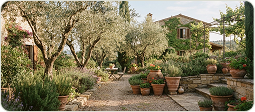 Garden path